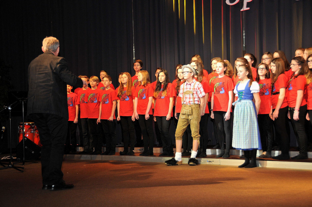 MMS_Fruehjahrskonzert_2015_10.jpg