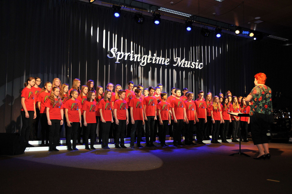 MMS_Fruehjahrskonzert_2015_13.jpg