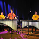 MMS_Fruehjahrskonzert_2015_14.jpg