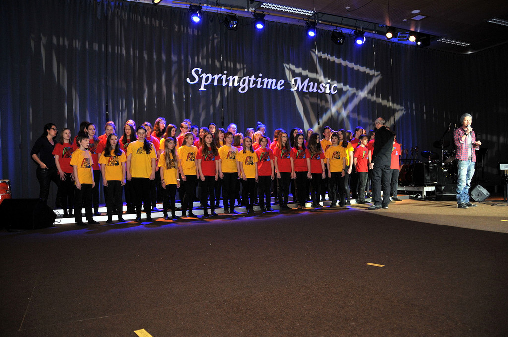 MMS_Fruehjahrskonzert_2015_22.jpg