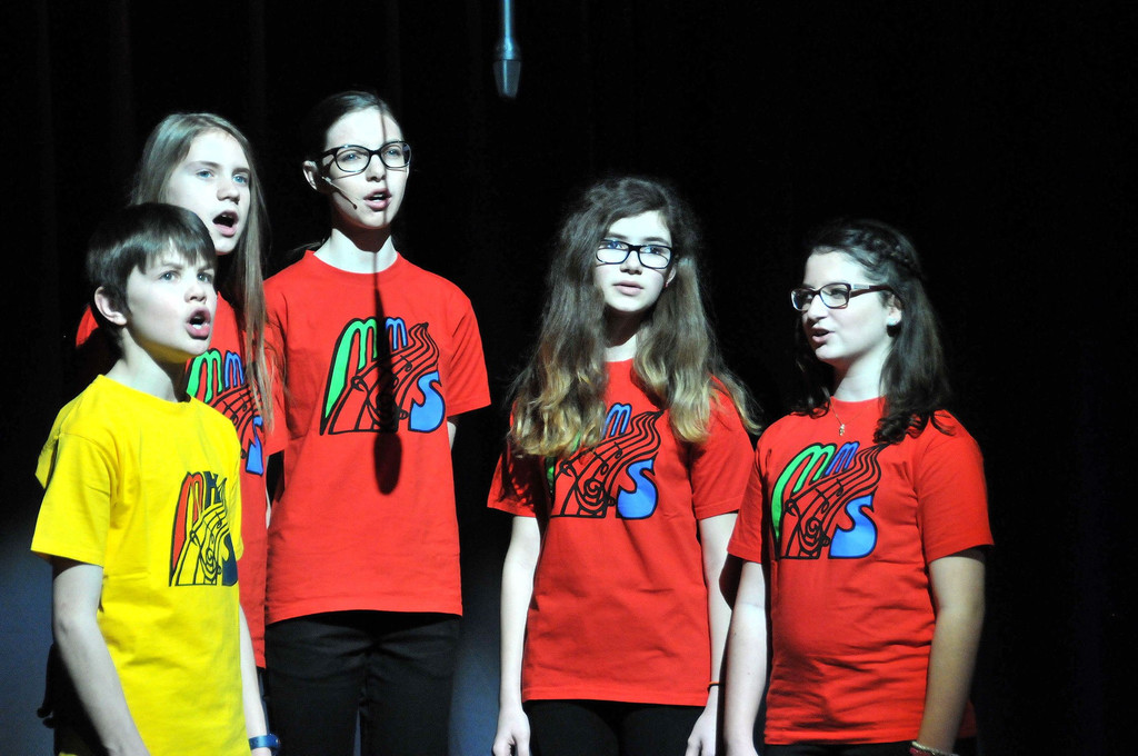 MMS_Fruehjahrskonzert_2015_28.jpg