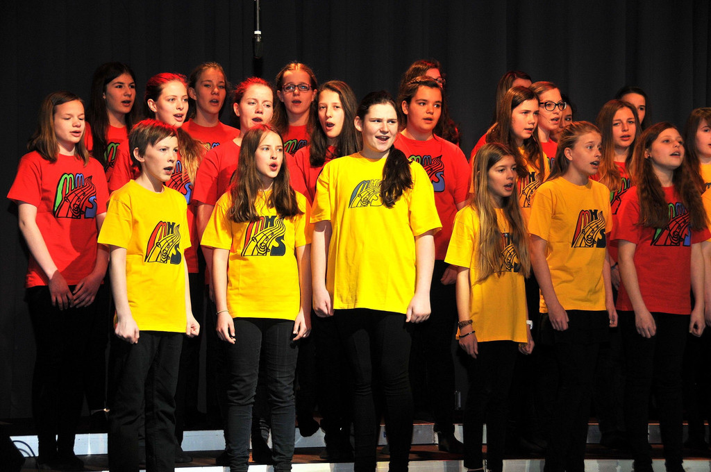 MMS_Fruehjahrskonzert_2015_33.jpg