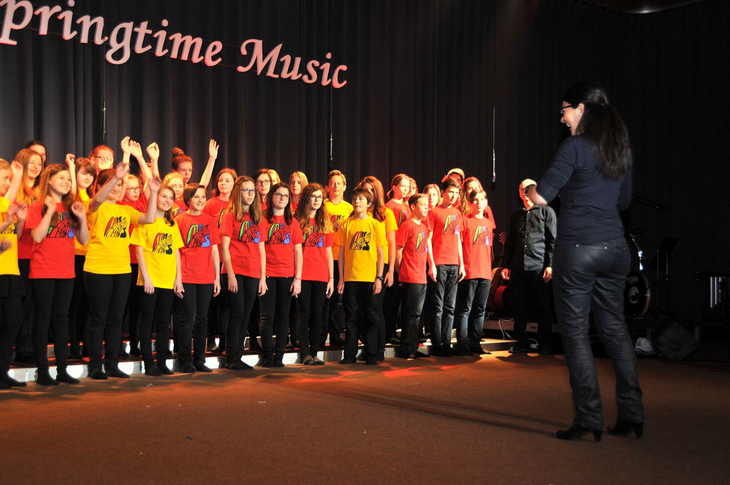 MMS_Fruehjahrskonzert_2015_34.jpg