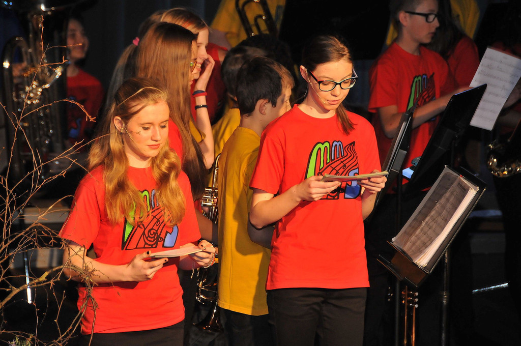 MMS_Fruehjahrskonzert_2015_36.jpg