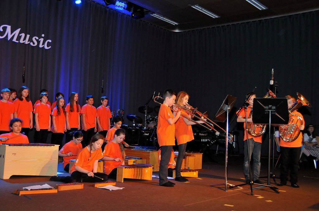 MMS_Fruehjahrskonzert_2015_38.jpg