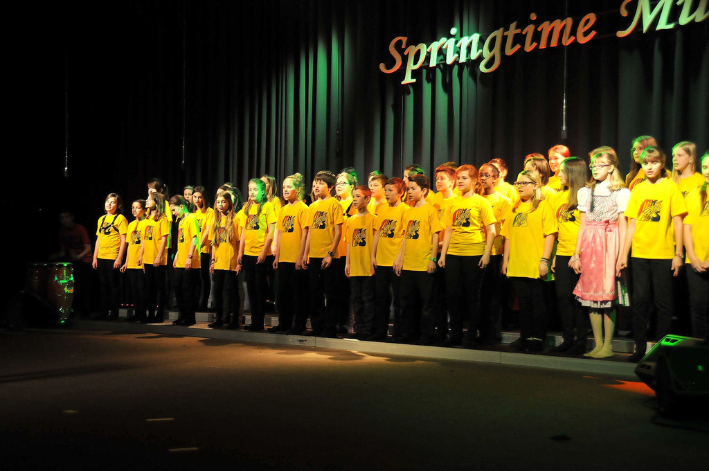 MMS_Fruehjahrskonzert_2015_40.jpg