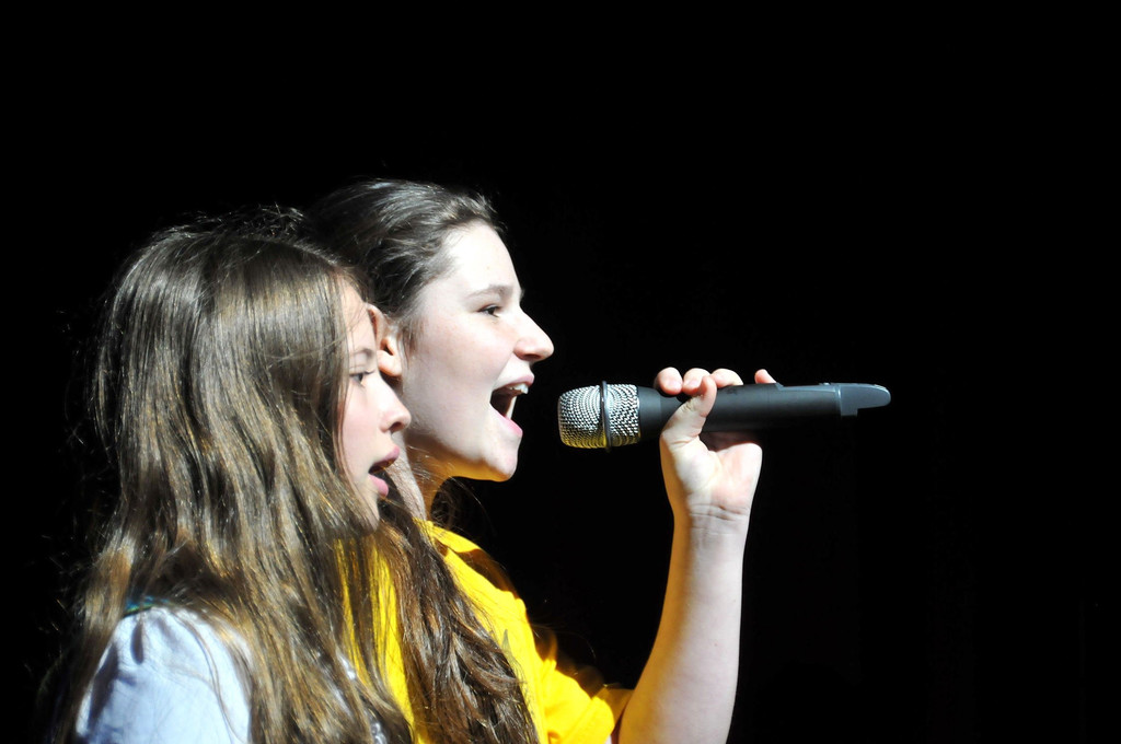 MMS_Fruehjahrskonzert_2015_41.jpg