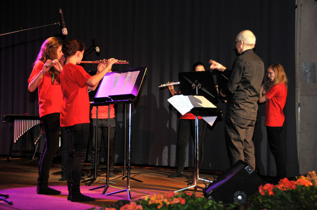 MMS_Fruehjahrskonzert_2015_43.jpg