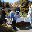 IMG_6690.JPG