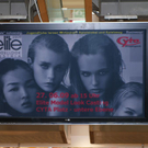 P1190830weblog.jpg