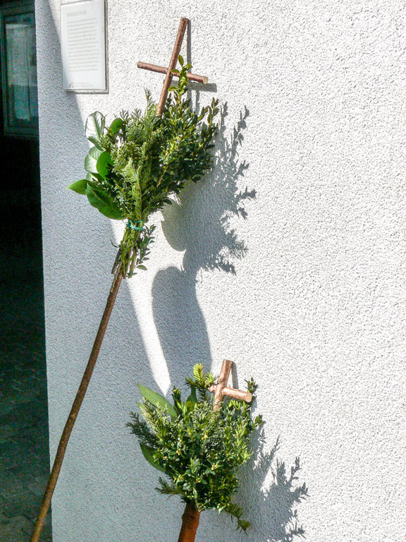 P1360109.jpg