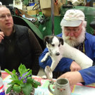 Most15.jpg