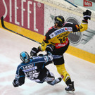 Vienna Capitals gegen Linz im EBEl-Viertelfinale 29.3.