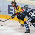 EXPA-THA-150329-0233.jpg