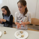 Projektwoche "Schaf" der Volksschule Kirchdorf