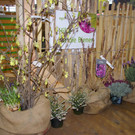 IMGP6782.JPG