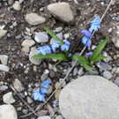 _IMG_8903_Roemergrund_Small.jpg