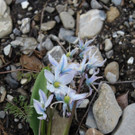 _IMG_8906_Roemergrund_small.jpg