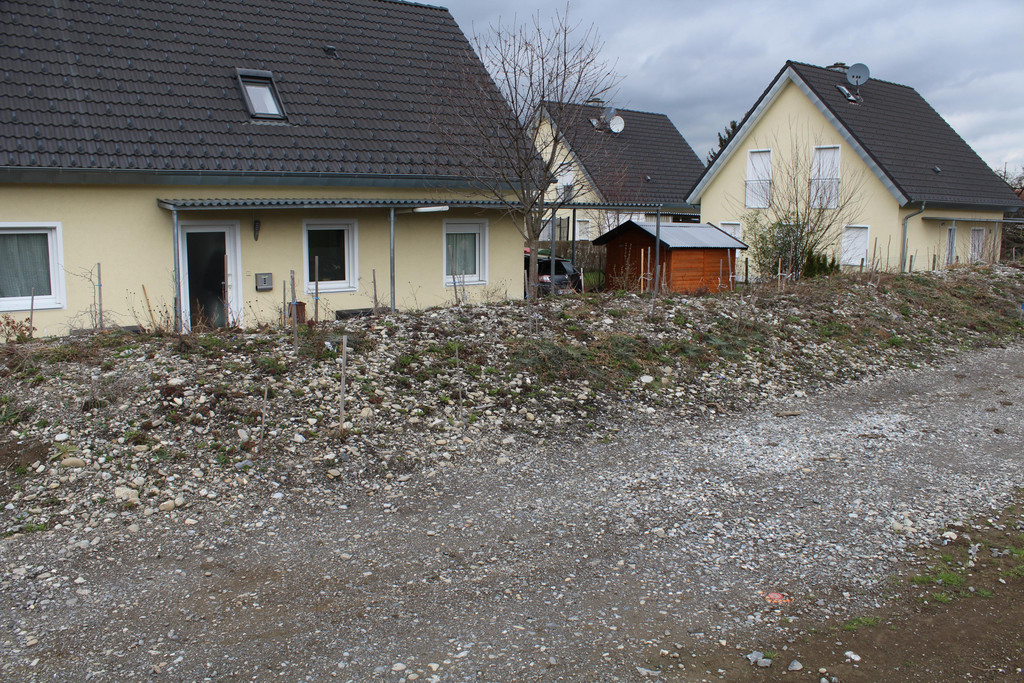 IMG_8908_Damm_Wildpflanzen_Roemergrund.JPG