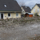 IMG_8908_Damm_Wildpflanzen_Roemergrund.JPG