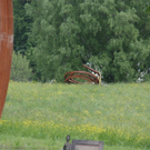normal_18052010skulpturentaaktivnews_03.jpg