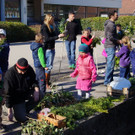 Palmbinden 2015 _1_ vkl.jpg