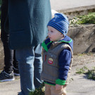 Palmbinden 2015 _13_ vkl.jpg