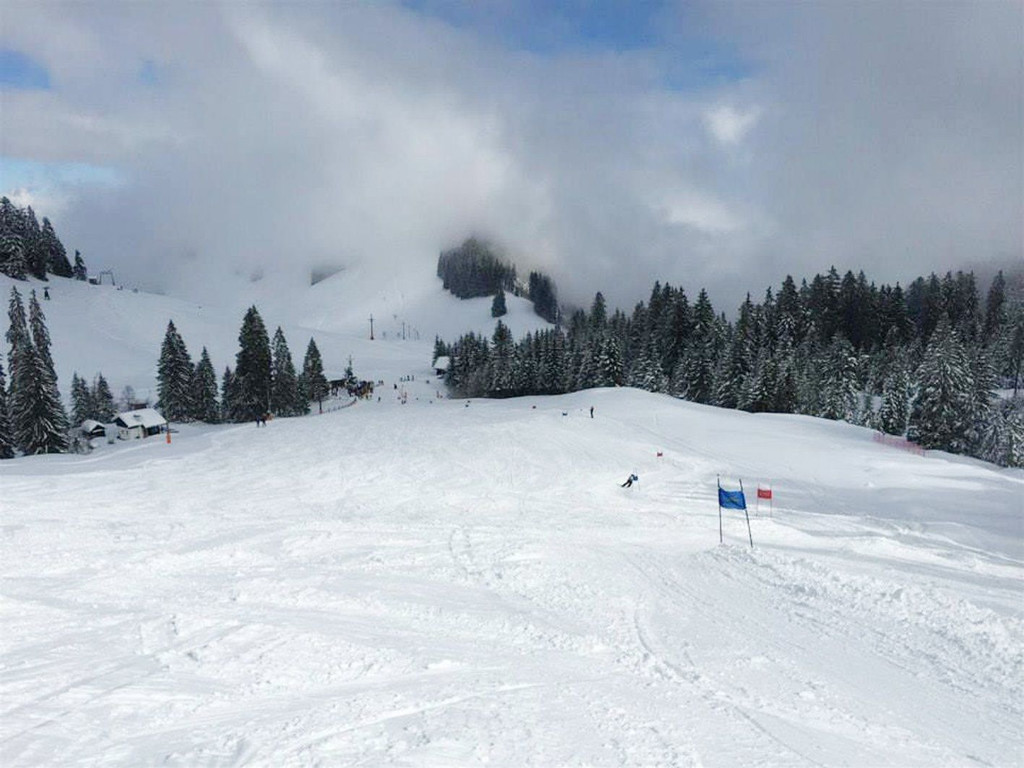 Ski15.jpg