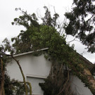 IMG_9933.JPG