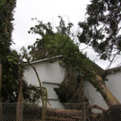 IMG_9932.JPG