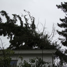 IMG_9927.JPG