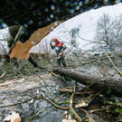 Sturm "Niklas" wütet in Mitteleuropa