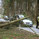 ABD0126-20150331.jpg
