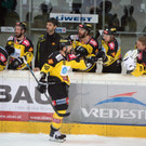 Vienna Capitals nach Sieg gegen Linz zum dritten Mal im EBEl-Finale