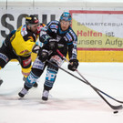ABD0156-20150331.jpg