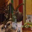 DSC_1066.jpg