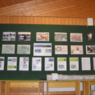 DSC_1000.jpg
