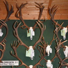 DSC_1028.jpg