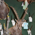DSC_1042.jpg