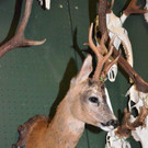 DSC_1044.jpg