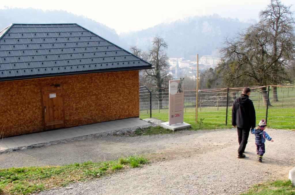 KOE_Wilkdpark Fuchsgehege 3.jpg