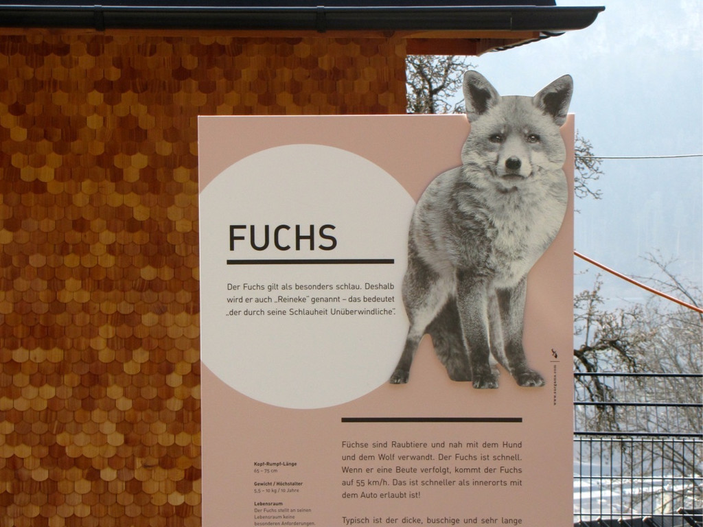 KOE_Wilkdpark Fuchsgehege 4.jpg