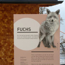 KOE_Wilkdpark Fuchsgehege 4.jpg