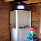 KOE_Wilkdpark Fuchsgehege 7.jpg