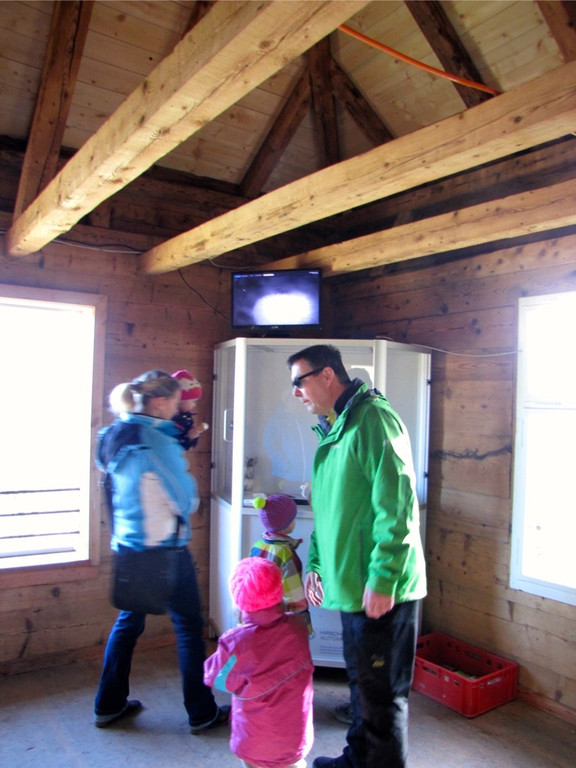 KOE_Wilkdpark Fuchsgehege 8.jpg