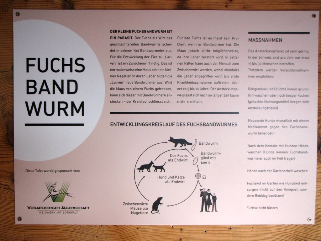 KOE_Wilkdpark Fuchsgehege 10.jpg