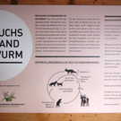 KOE_Wilkdpark Fuchsgehege 10.jpg