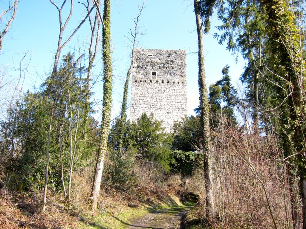 KOE_Tostner Burg 8.jpg