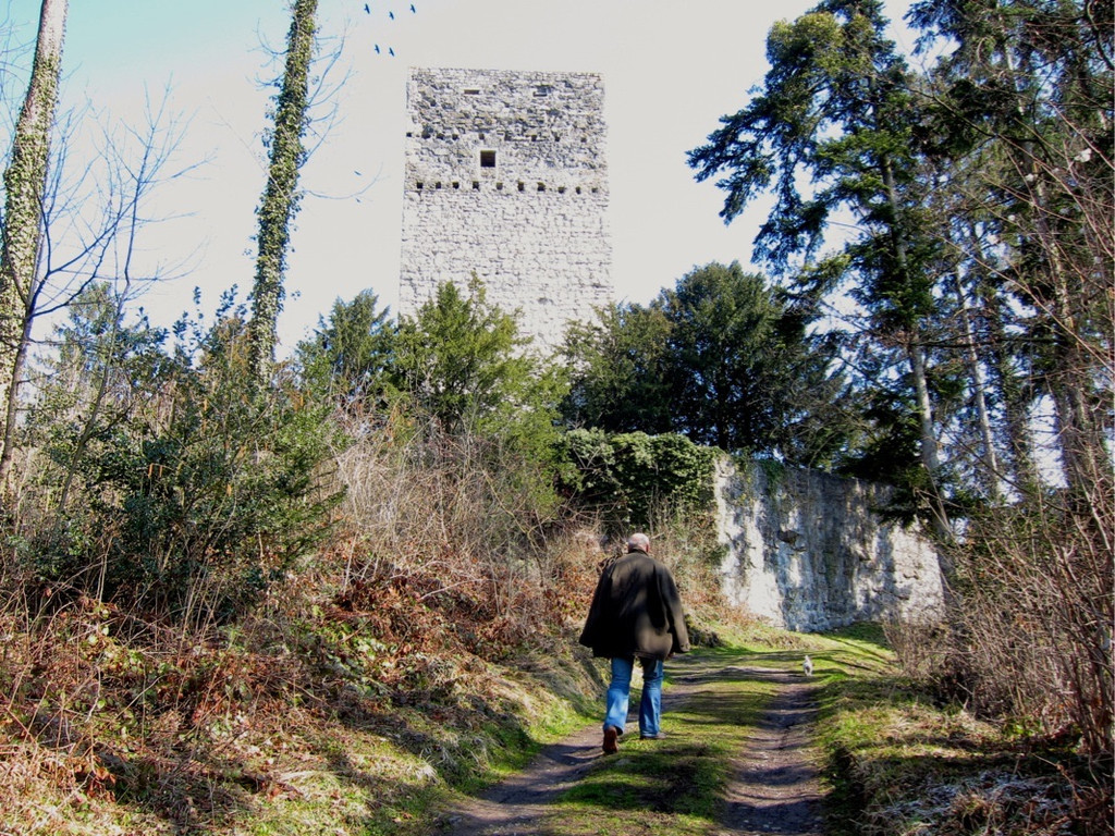 KOE_Tostner Burg 9.jpg