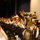Musikverein Lochau Fr__hlingskonzert 2015 _4_.JPG